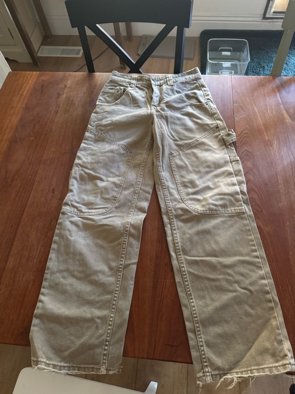 BDG Carpenter pants